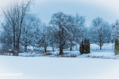 Back Yard in Winter