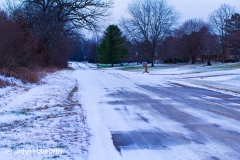 Wintery Neighborhood